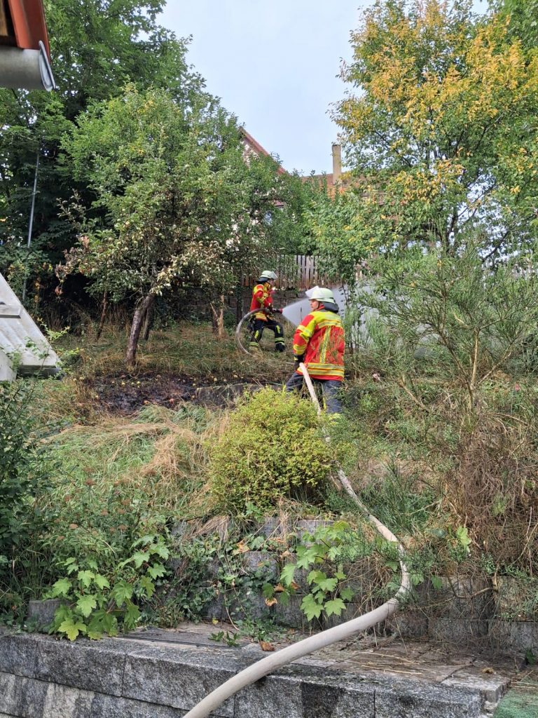 2025/13 BR2 – Brand einer Wiese