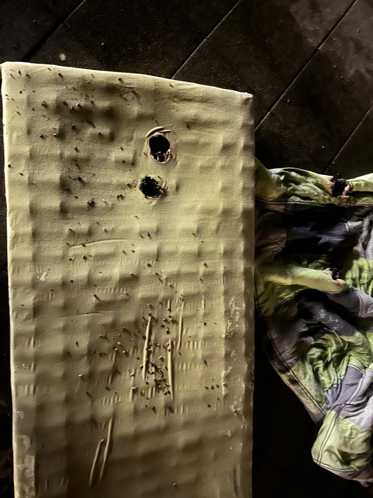 2025/16 Erkundung Brand