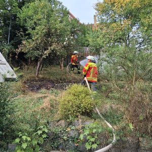 2025/13 BR2 – Brand einer Wiese